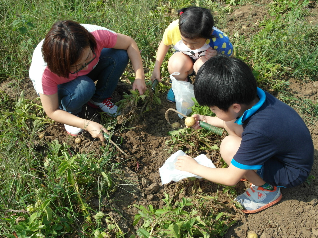 소비자 농업농촌 체험 백년초 페스티벌 - 농업 체험